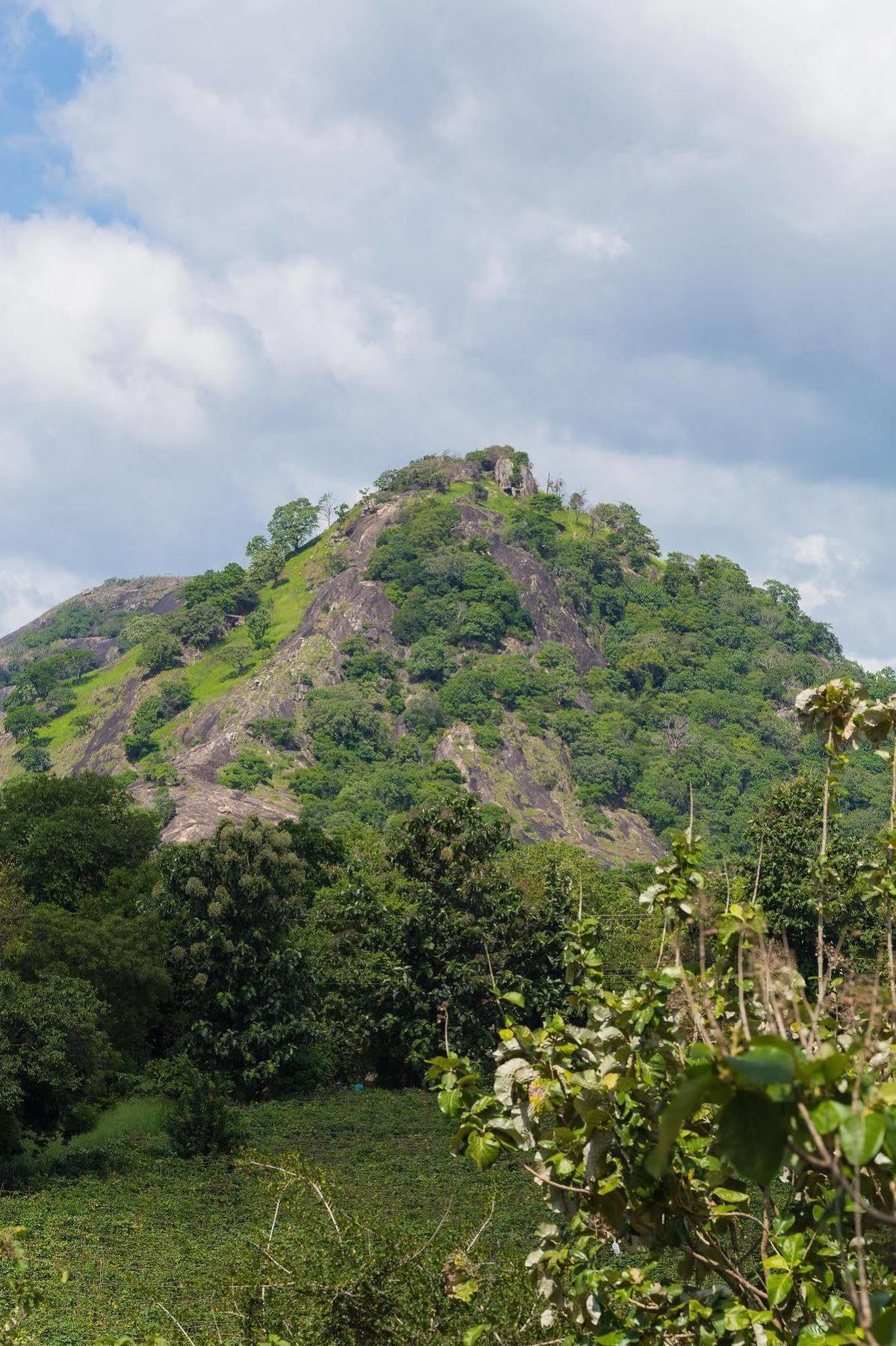 Jetwing Lake Dambulla Exterior photo